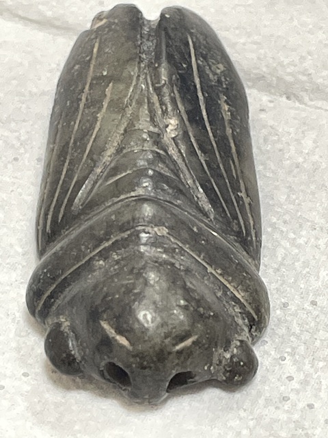 古玩玉器和田玉蟬真品鑒賞圖