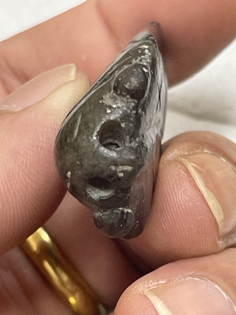 古玩玉器和田玉蟬真品鑒賞圖