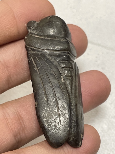 古玩玉器和田玉蟬真品鑒賞圖