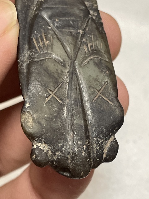 古玩玉器和田玉蟬真品鑒賞圖