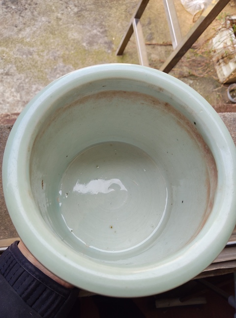 古玩陶瓷豆青釉爐真品鑒賞圖