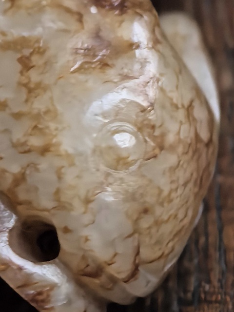 古玩玉器玉兔真品鑒賞圖