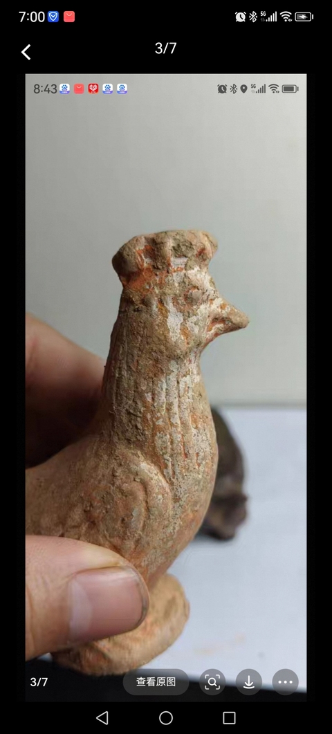 古玩陶瓷雞真品鑒賞圖