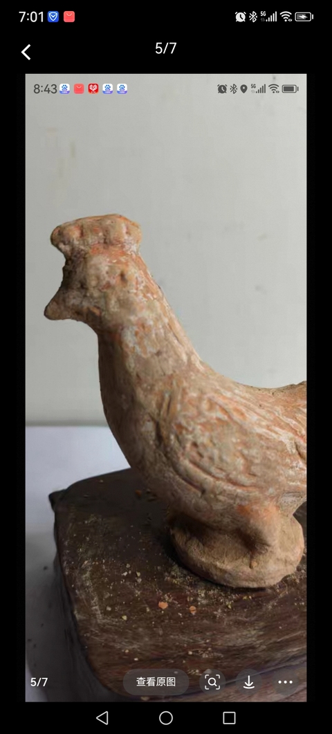 古玩陶瓷雞真品鑒賞圖