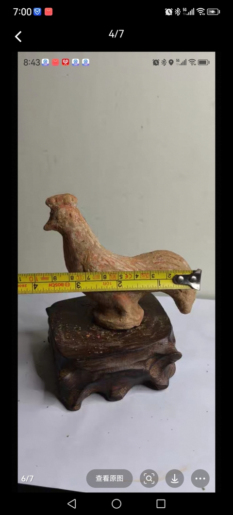 古玩陶瓷雞真品鑒賞圖