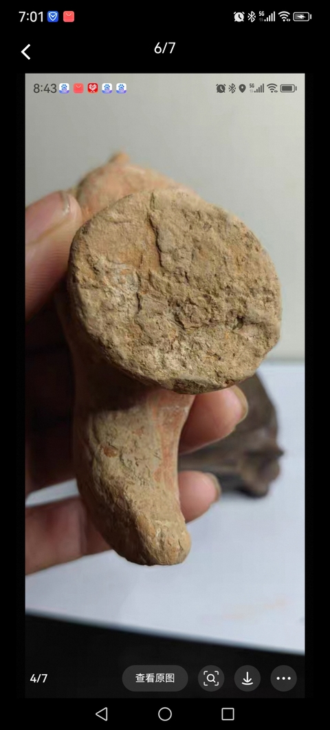 古玩陶瓷雞真品鑒賞圖