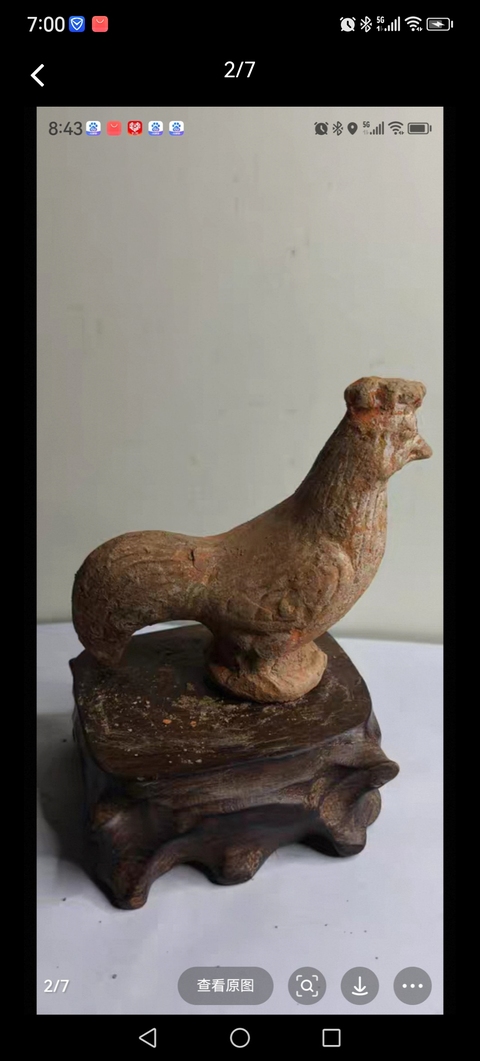 古玩陶瓷雞真品鑒賞圖