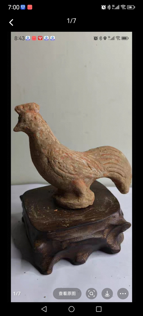 古玩陶瓷雞真品鑒賞圖