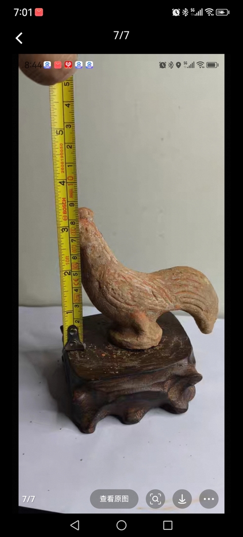 古玩陶瓷雞真品鑒賞圖