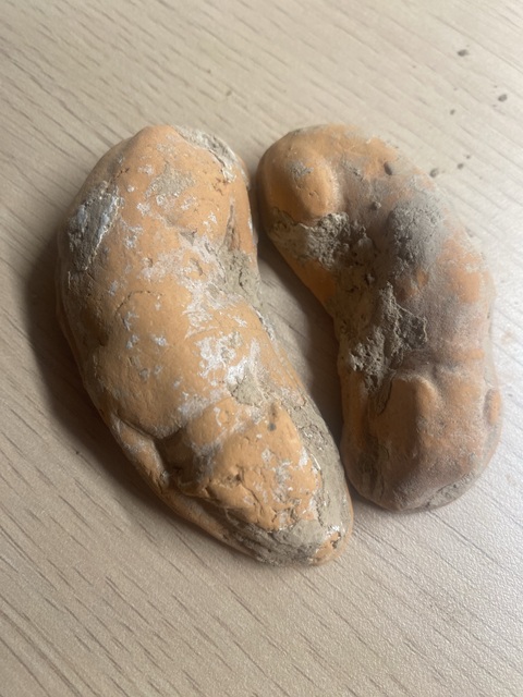 古玩陶瓷唐·臥??一對真品鑒賞圖