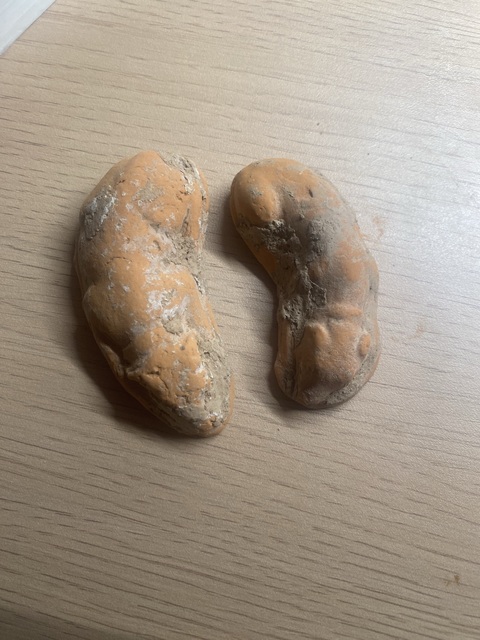 古玩陶瓷唐·臥??一對真品鑒賞圖