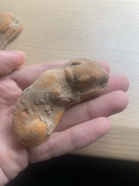 古玩陶瓷唐·臥??一對真品鑒賞圖