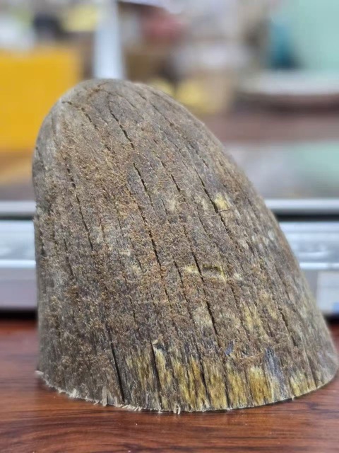 古玩雜項犀角真品鑒賞圖