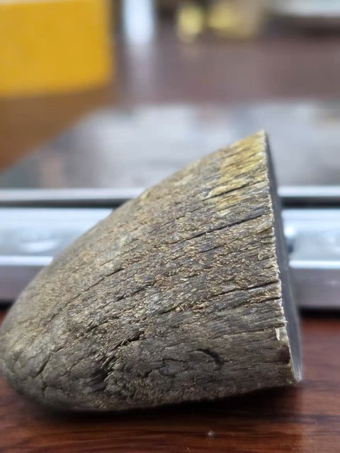 古玩雜項犀角真品鑒賞圖