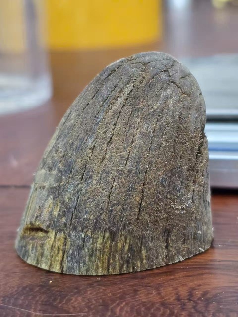 古玩雜項犀角真品鑒賞圖