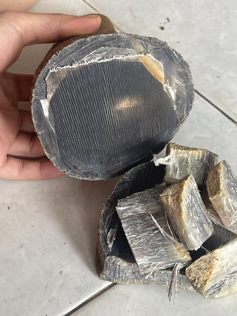 古玩雜項犀角真品鑒賞圖