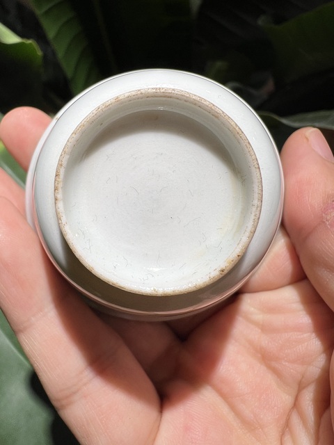 古玩陶瓷描金蟲草花卉紋杯真品鑒賞圖