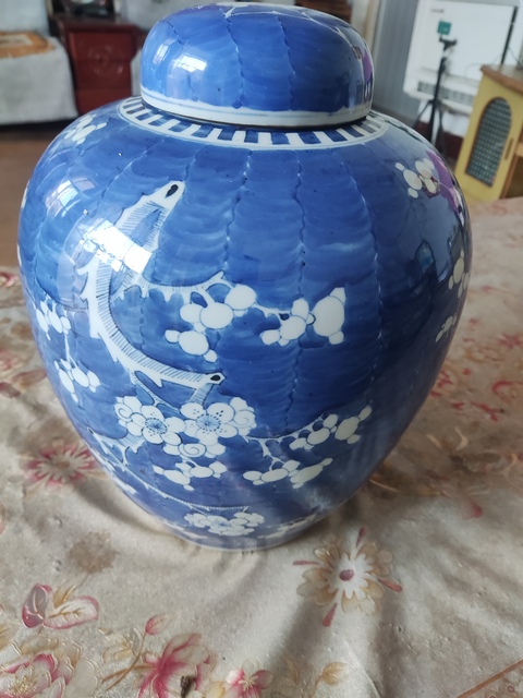 古玩陶瓷青花冰梅罐真品鑒賞圖