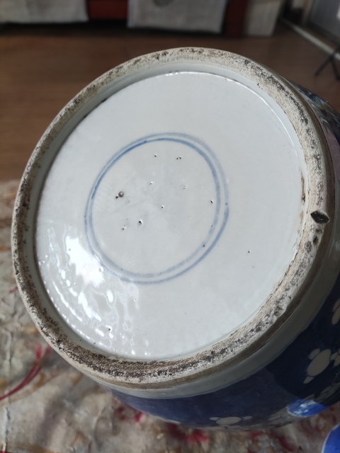 古玩陶瓷青花冰梅罐真品鑒賞圖