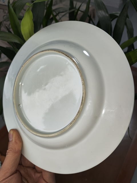 古玩陶瓷花鳥紋五彩盤真品鑒賞圖