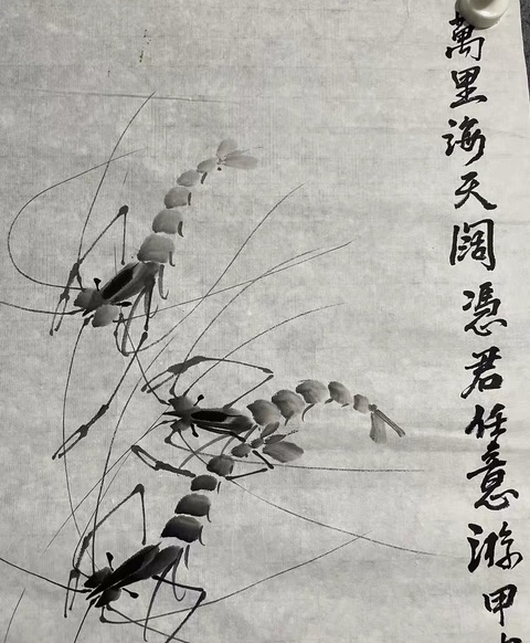 古玩字畫齊慧娟水墨群蝦已經(jīng)裝裱拍賣，當(dāng)前價(jià)格1488元