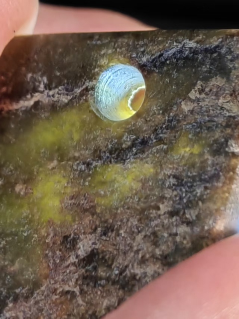 古玩玉器古玉璜真品鑒賞圖