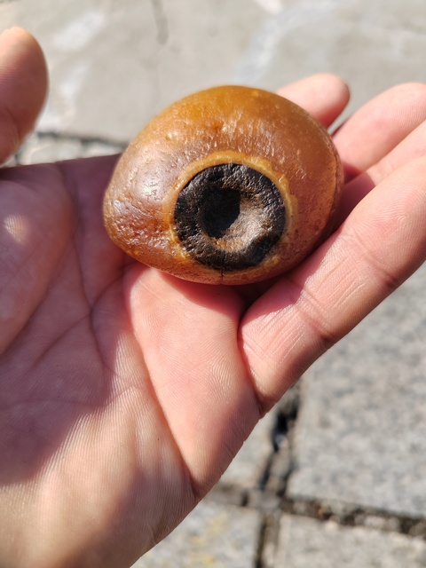 古玩玉器天然瑪瑙原石真品鑒賞圖