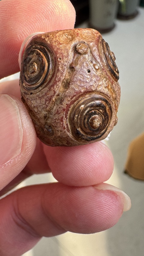 古玩玉器仿古蜻蜓眼形制珠真品鑒賞圖