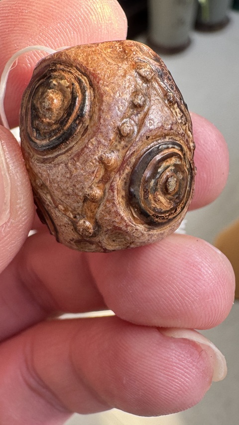 古玩玉器仿古蜻蜓眼形制珠真品鑒賞圖