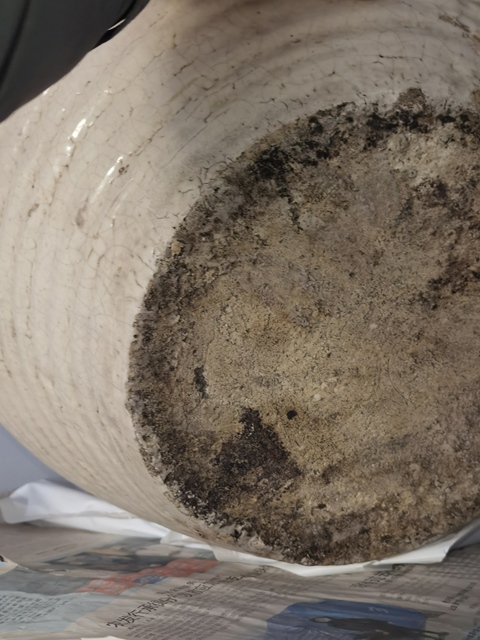 古玩陶瓷磁州窯白釉大罐真品鑒賞圖