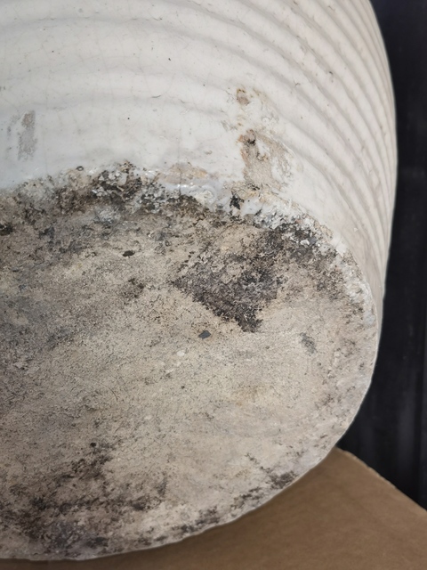 古玩陶瓷磁州窯白釉大罐真品鑒賞圖