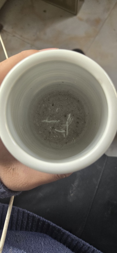 古玩陶瓷粉彩筆筒真品鑒賞圖