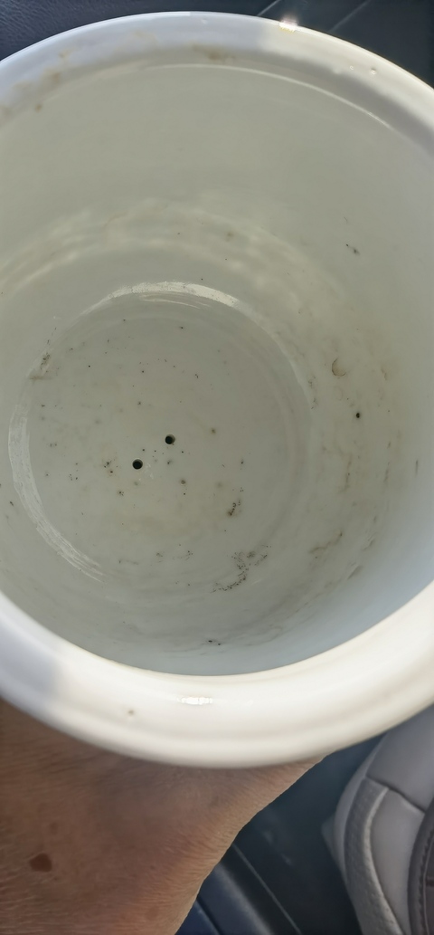 古玩陶瓷青花花卉蝴蝶紋花盆真品鑒賞圖