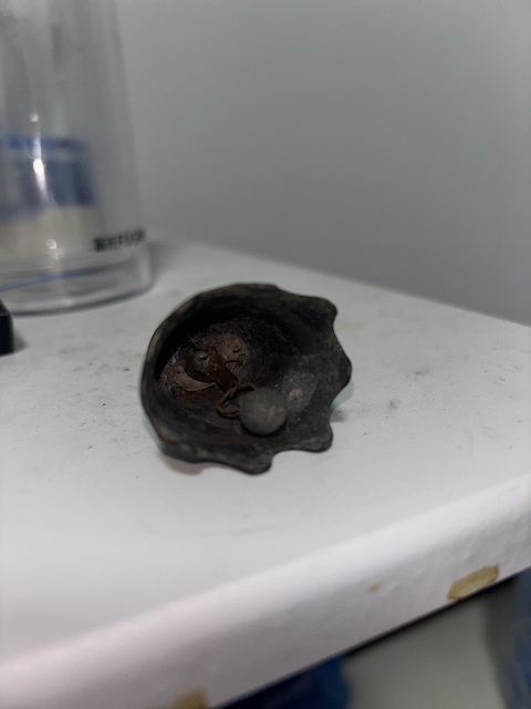 古玩雜項銅鈴鐺真品鑒賞圖