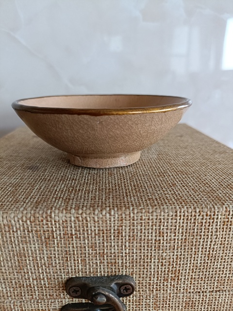 古玩陶瓷罕見宋末元初龍泉黃釉冰片紋茶盞拍賣，當前價格2980元