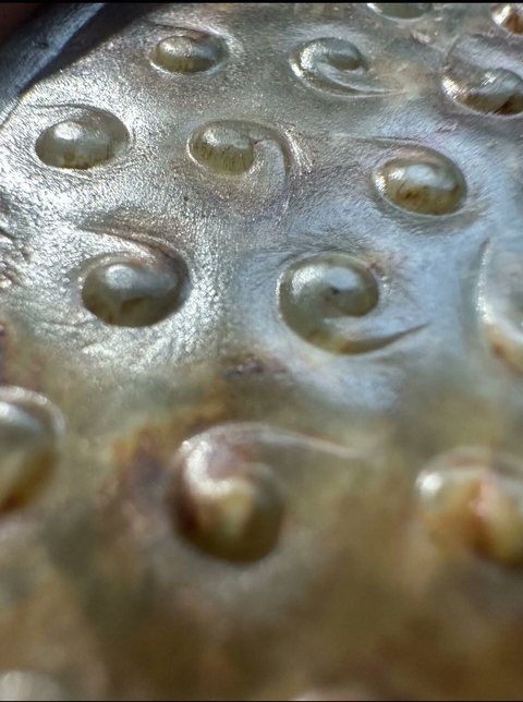 古玩玉器仿古玉璧真品鑒賞圖