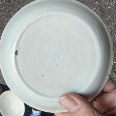 古玩陶瓷青白釉模印魚藻紋盤真品鑒賞圖