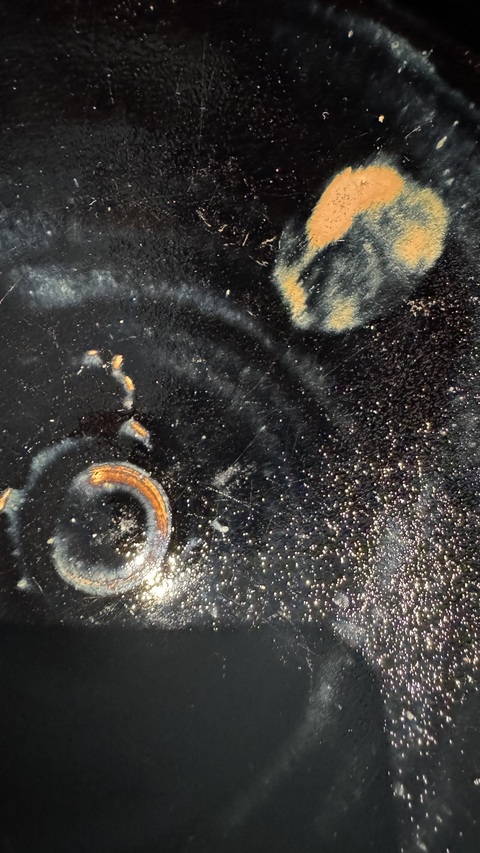 古玩陶瓷黑釉鐵銹斑紋狗舔碗真品鑒賞圖