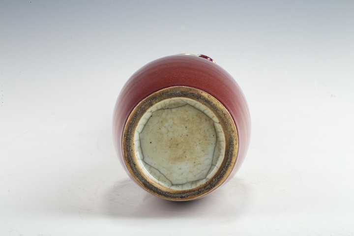 古玩陶瓷清晚·窯變紅釉堆塑螭龍獅耳瓶真品鑒賞圖