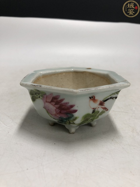 古玩陶瓷淺絳彩花鳥紋菖蒲盆真品鑒賞圖