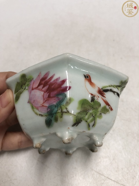 古玩陶瓷淺絳彩花鳥紋菖蒲盆真品鑒賞圖