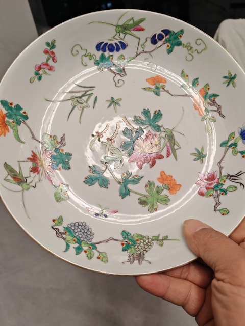 古玩陶瓷粉彩蟲草紋盤真品鑒賞圖