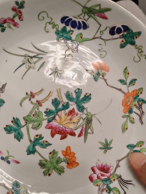 古玩陶瓷粉彩蟲草紋盤真品鑒賞圖