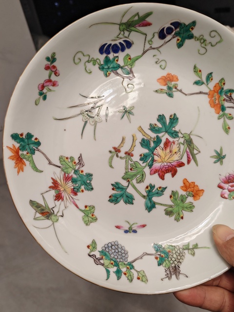 古玩陶瓷粉彩蟲草紋盤真品鑒賞圖