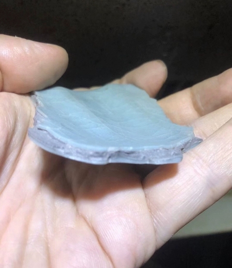 古玩陶瓷青瓷片真品鑒賞圖