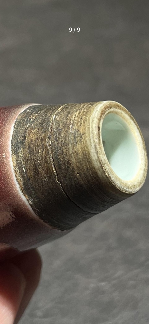 古玩陶瓷豇豆紅釉柳葉瓶真品鑒賞圖