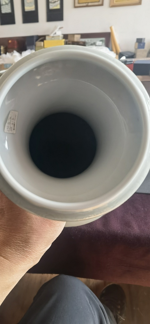 古玩陶瓷青花釉里紅魚化龍紋瓶真品鑒賞圖