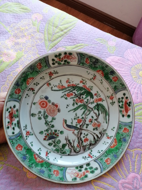 古玩陶瓷清康熙 五彩花鳥紋盤真品鑒賞圖