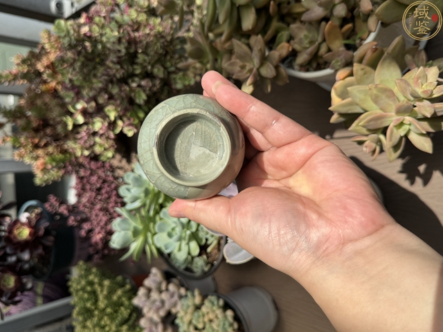 古玩陶瓷青瓷瓶真品鑒賞圖