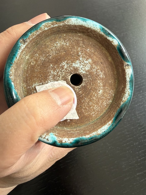 古玩陶瓷孔雀蘭釉刻花紋梅瓶真品鑒賞圖